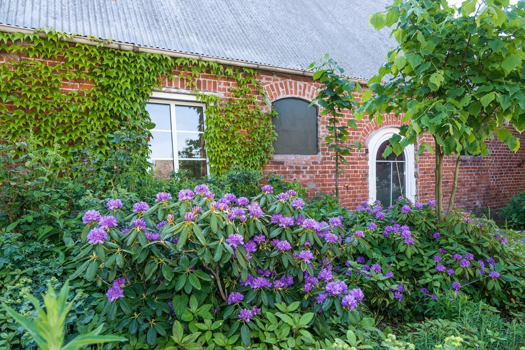 Ferienhof Kolauerhof - Bauernhofurlaub In Grömitz Dış mekan fotoğraf