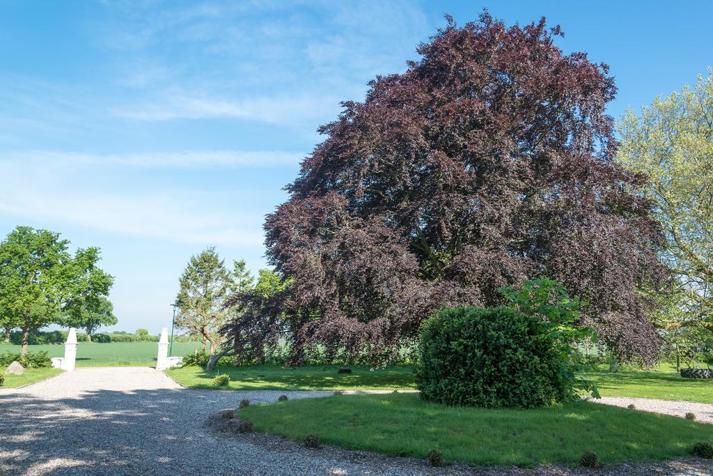 Ferienhof Kolauerhof - Bauernhofurlaub In Grömitz Dış mekan fotoğraf
